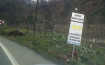 Harfiyat Dökülür mü? Dökülmez mi?