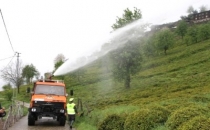 Rizede Organik Tarım Hızla Devam Ediyor