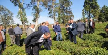 Rize Ziraat Odası Gürcistan'a Çay Ziyareti