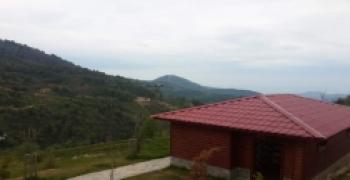 ADALET BAKANI KENAN İPEK RİZEDE