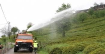 RİZEDE ORGANİK TARIM HIZLA DEVAM EDİYOR